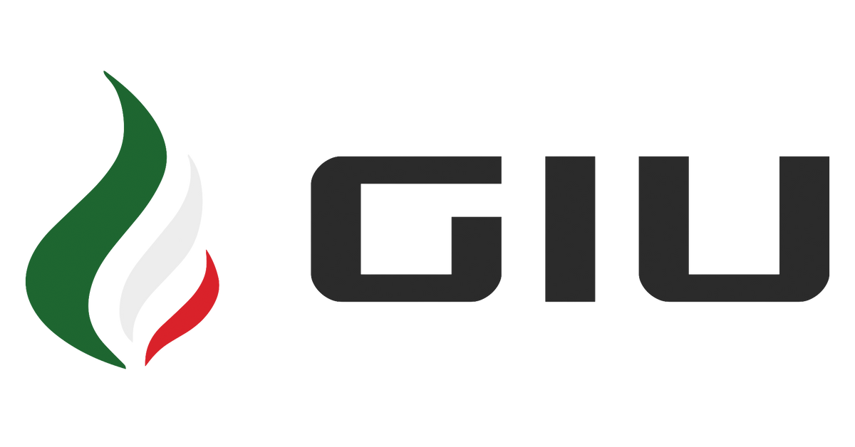 GIU Pizzaofen – Elektrischer Pizzaofen bis 450 °C